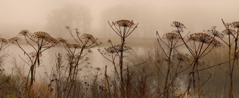 Friedhof Hubschrauber