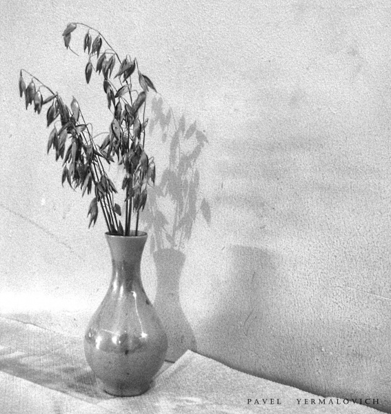 axes of natural trihedron