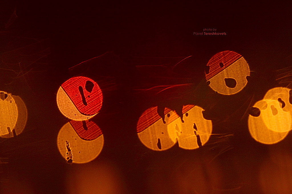 [Mnogolunie. Orbit 3}