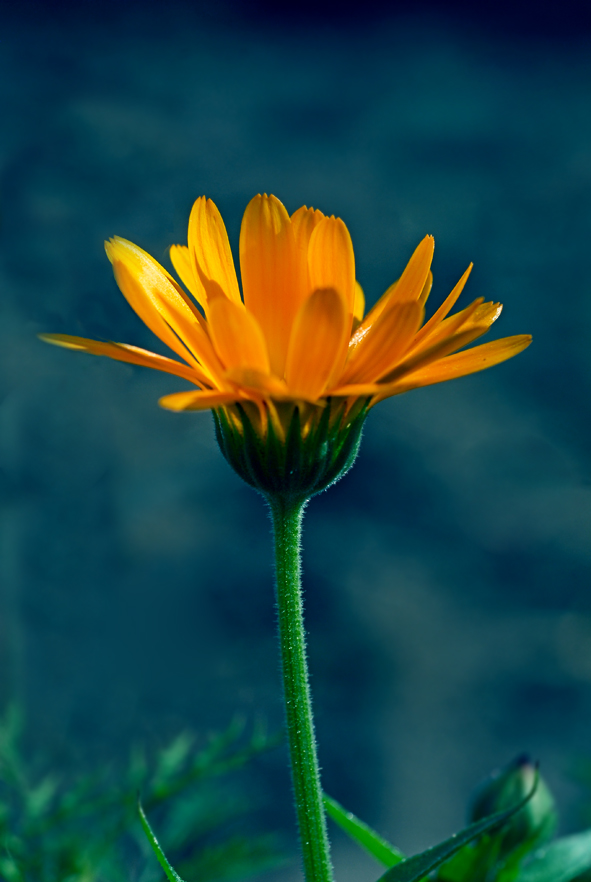 Kommenden Montag hallo .....