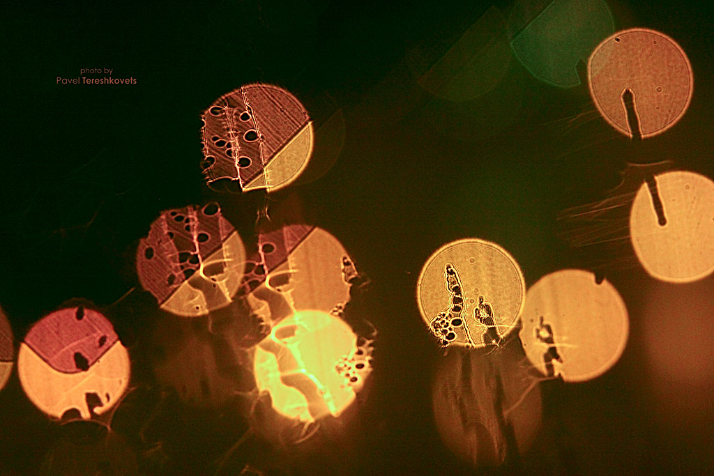 [Mnogolunie. Orbit 4}