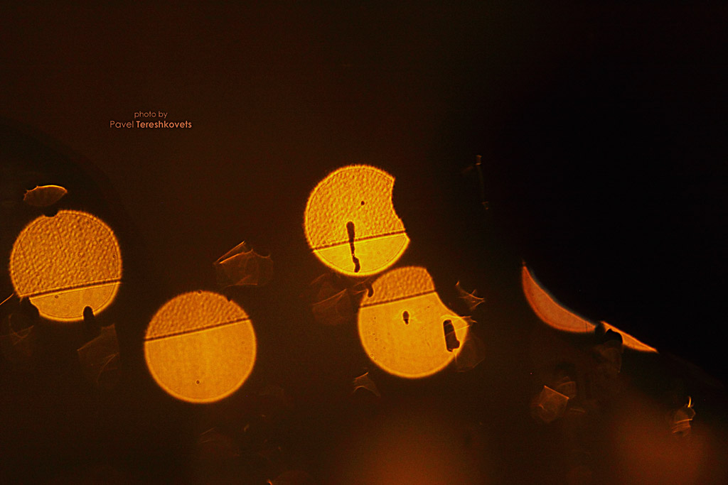 [Mnogolunie. Orbit 5}