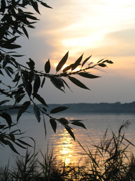 Sonnenuntergang in Zhdanovich