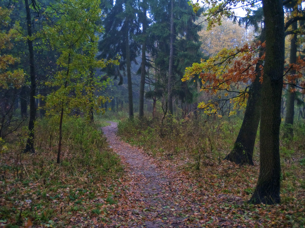 Herbst