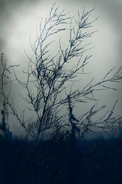 düsteren Herbst ....