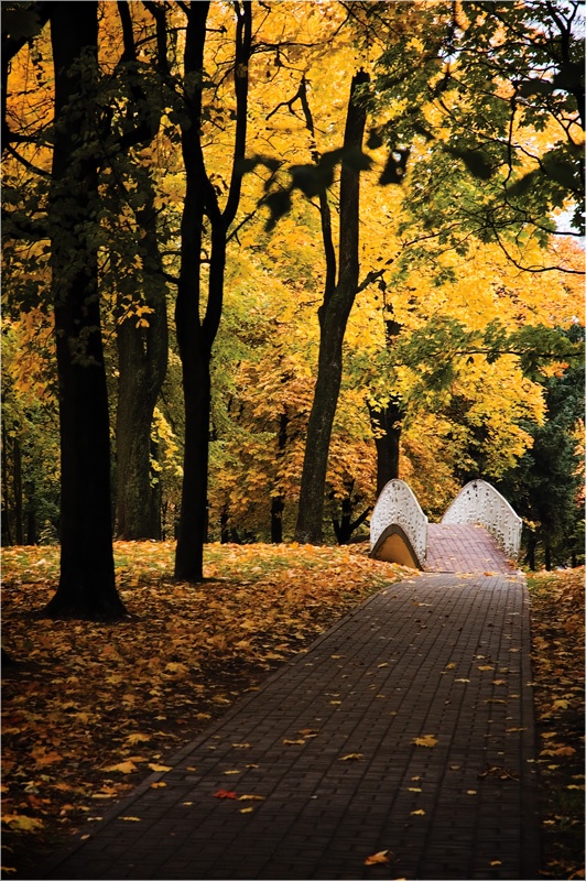 Herbst Park 2