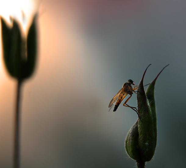 Tall Stories in der Nacht ..
