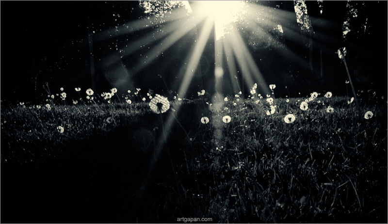 [Das Land hat nicht die Lehren]