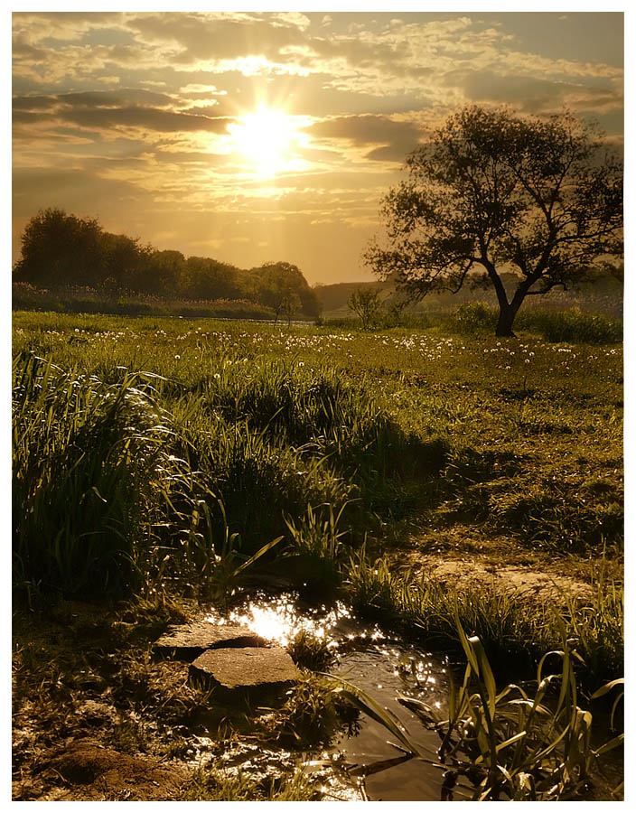 "a photo is illumination"