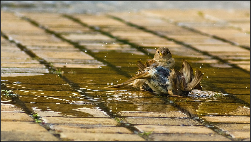 Wasseranwendungen ...