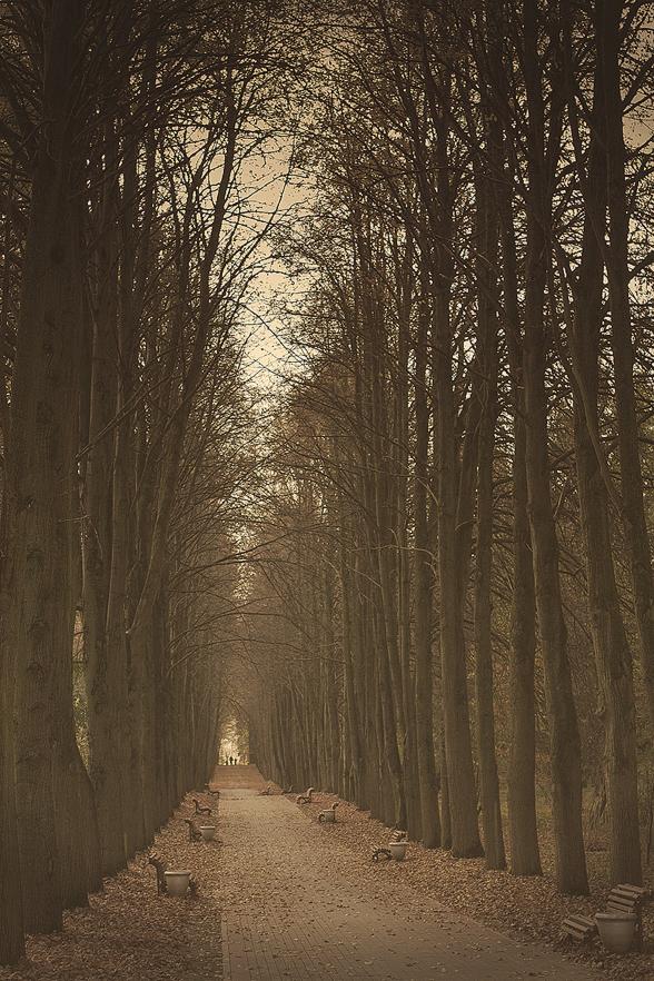 Reflexionen über den Sturz des Lebens ...