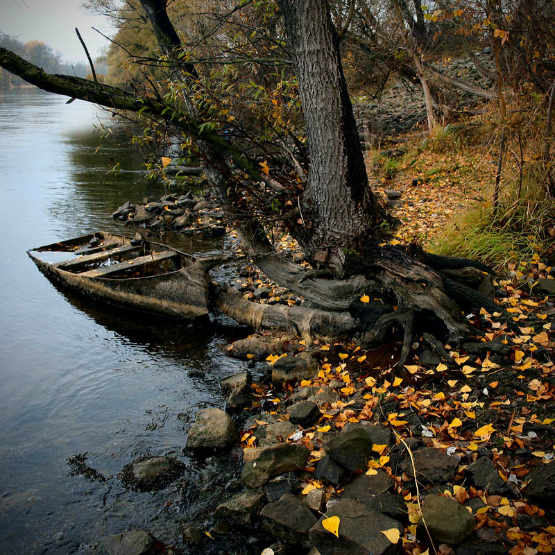 Wurzeln schlagen ...