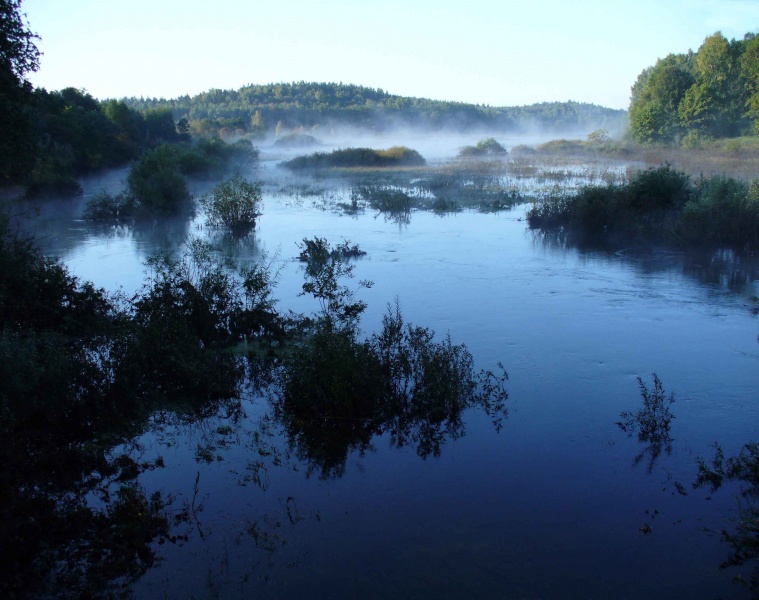 Haben Sie schon einmal gesehen, wie ein Fluss fließt? (Haben Sie jemals gesehen, wie der Fluss fließt?)