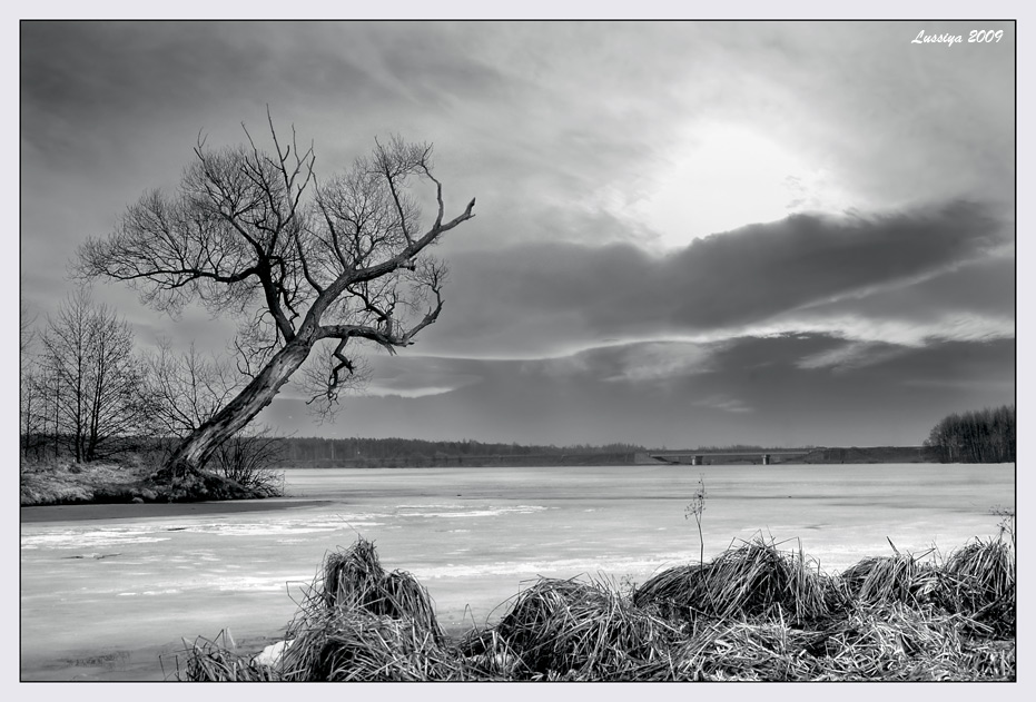 So möchten Sie fliegen (schwarz)
