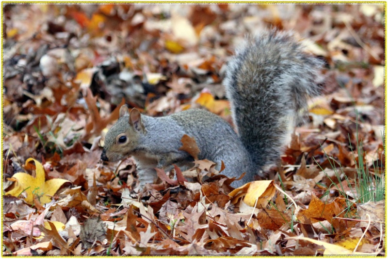 Vorbereitung für zime1