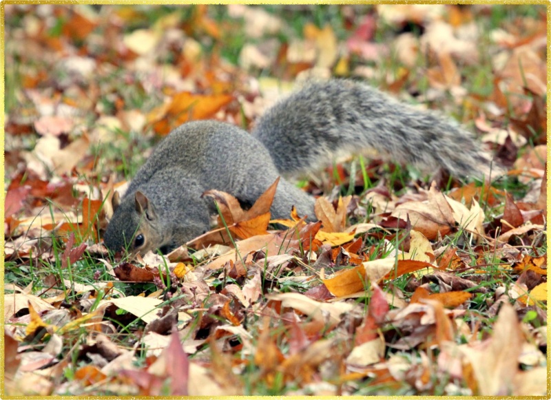 Vorbereitung für zime2