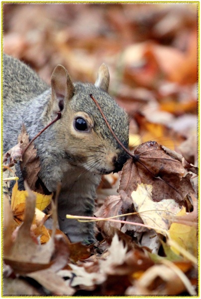 Vorbereitung für zime3