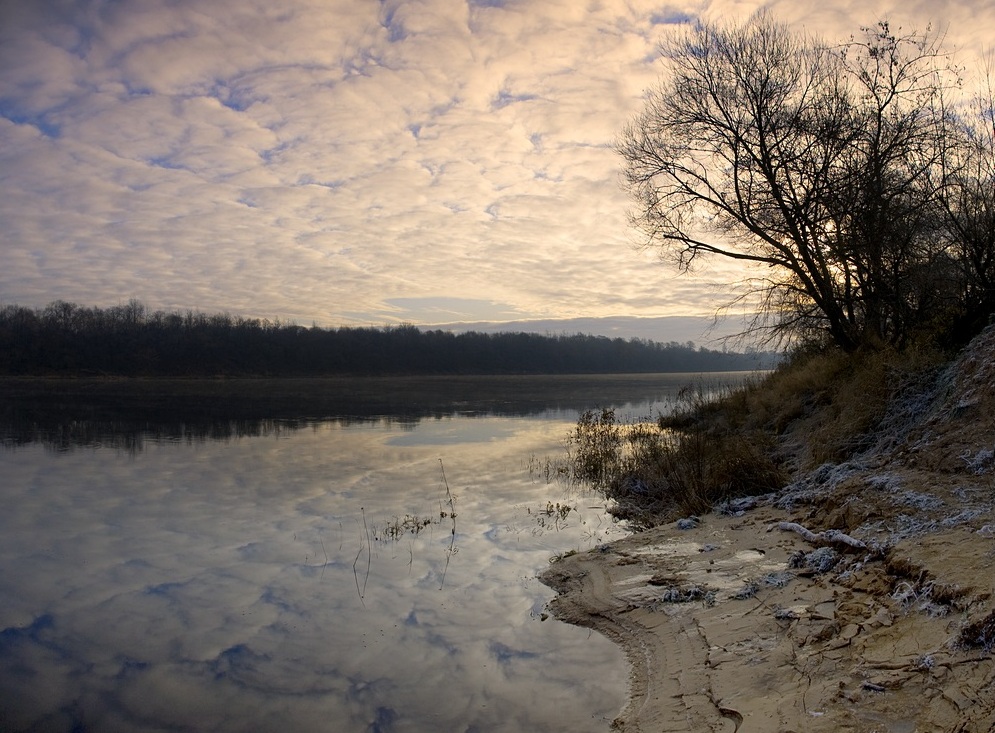 Western Dvina.Noyabr2