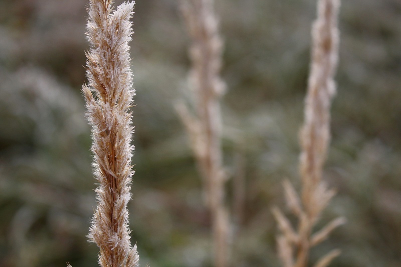 Der Winter kommt, der Winterdienst