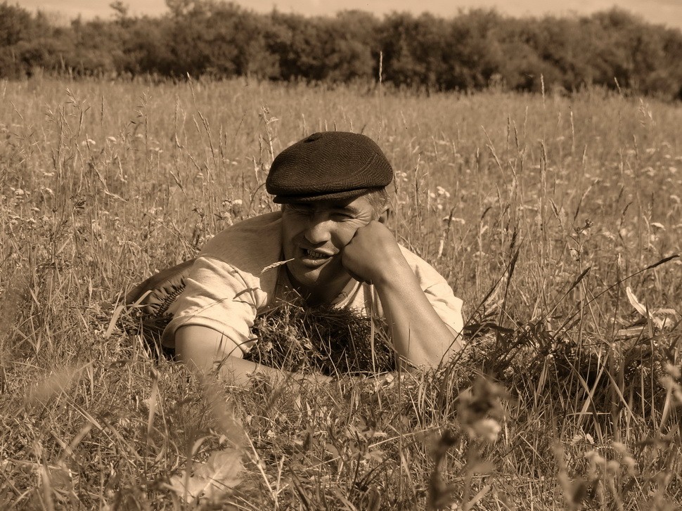 Geschmack des Feldes