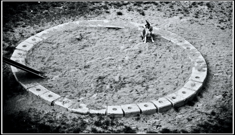 Warten auf ein Wunder