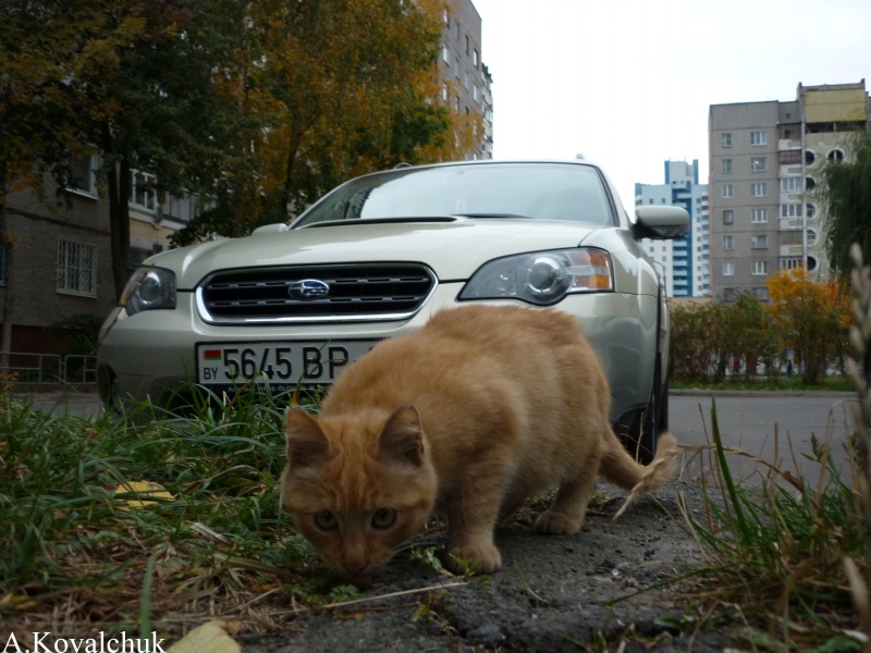 Es ist auch interessant ...