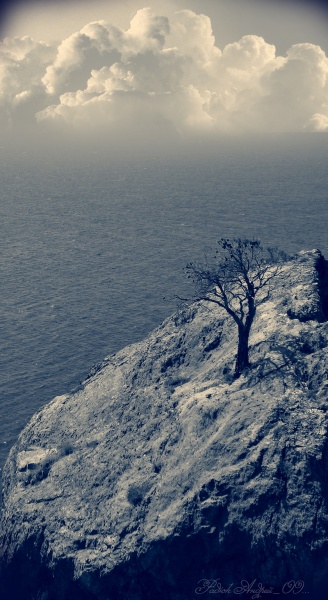 ... Einsamkeit, wächst ...