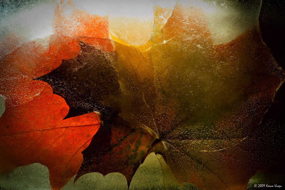 Peering in den Riss ...