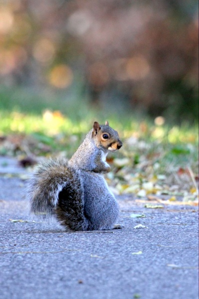 Kalten Monat November