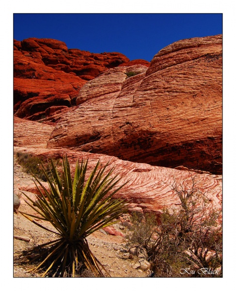 Red Rock Canyon