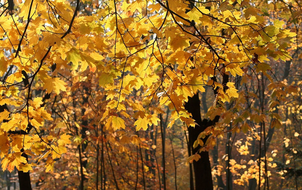 Farben, September ...