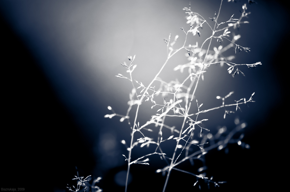 Twilight: Ice and Salt