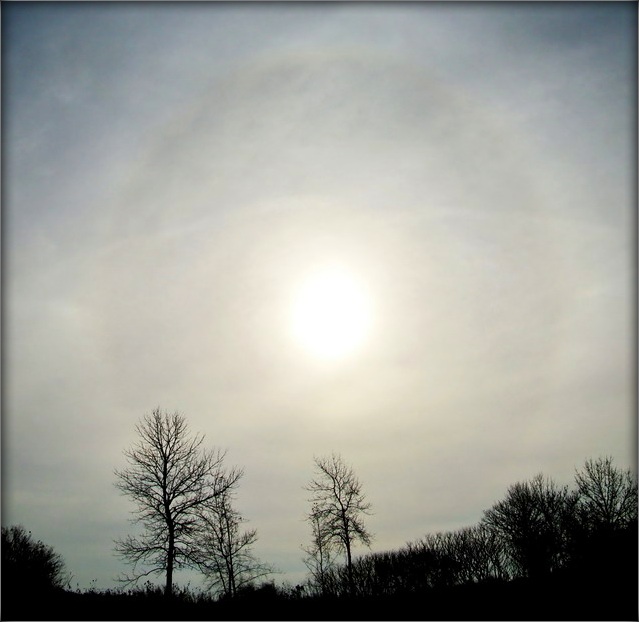 sonechnae Heiligenschein