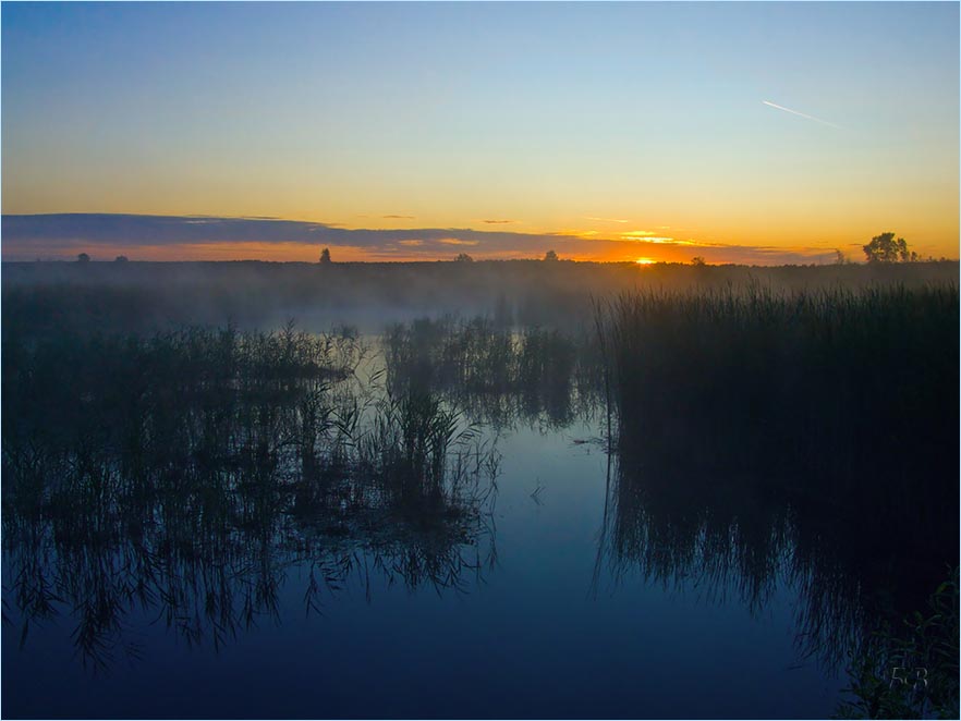 In der Morgendämmerung im August