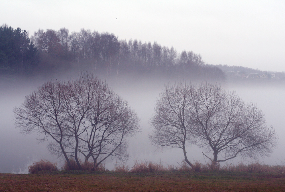 Sad malen November ...