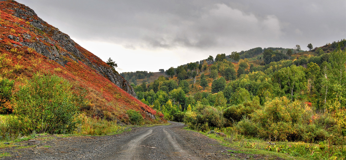 Straße zum Herbst