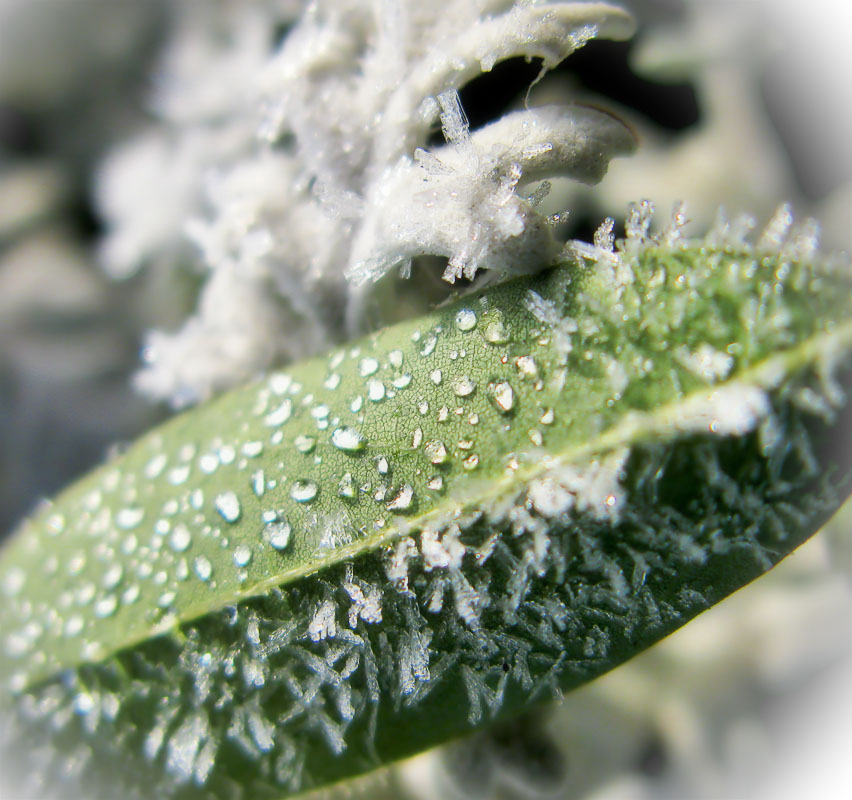 teplosvet und hladoten