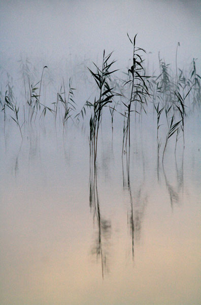 Es ist Zeit zu erwachen