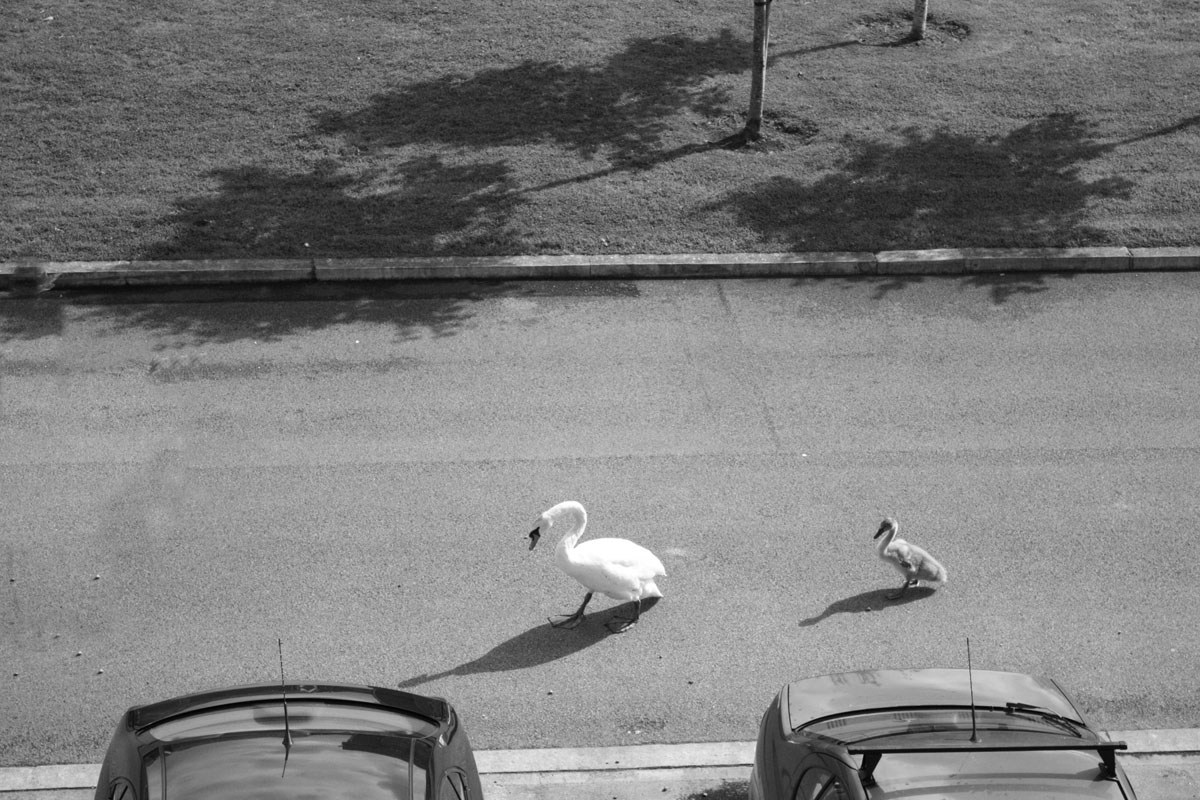 Babe, nicht ins Hintertreffen geraten!