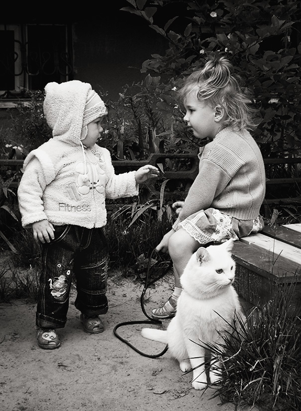 Ernsthafte Diskussion