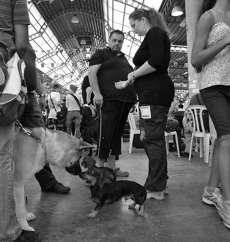 Single White will treffen ...