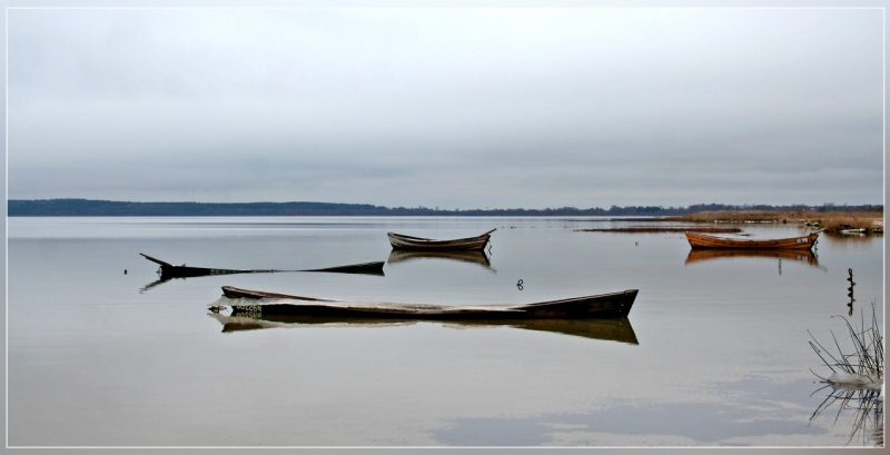 Their age is not long ...