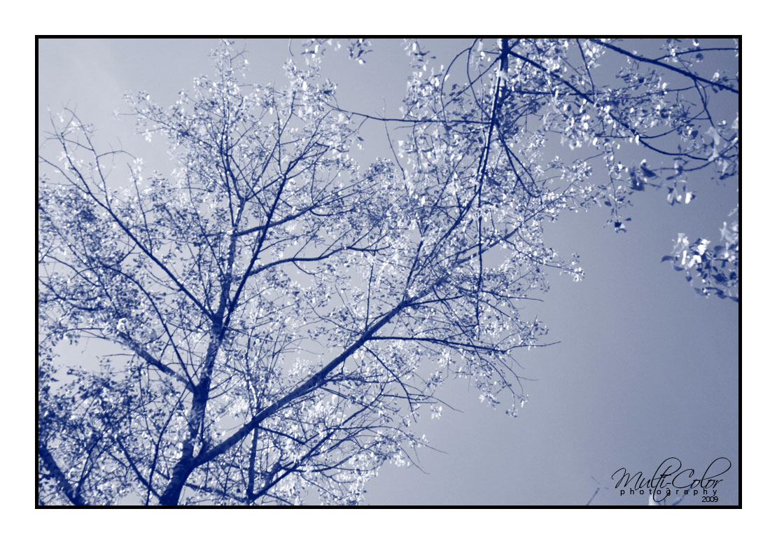 über unseren Köpfen