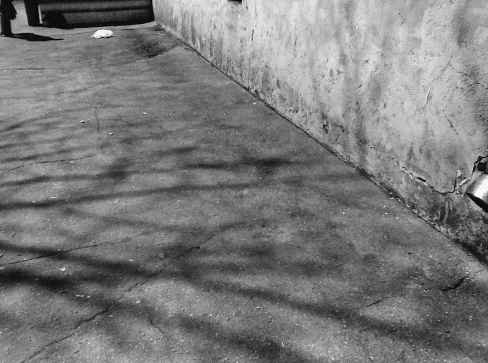 Der Frühling ist gekommen