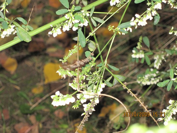 ========================