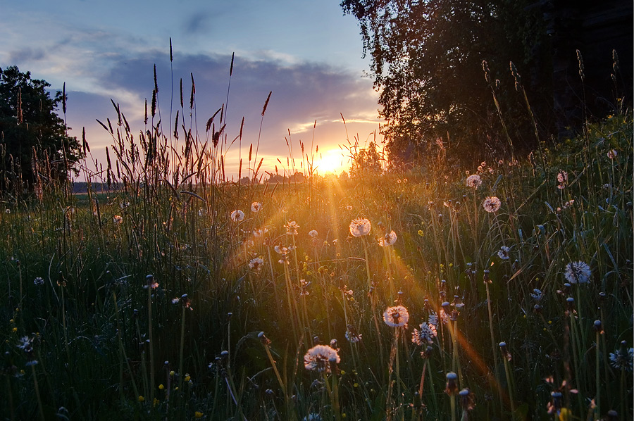The Last Days of Summer