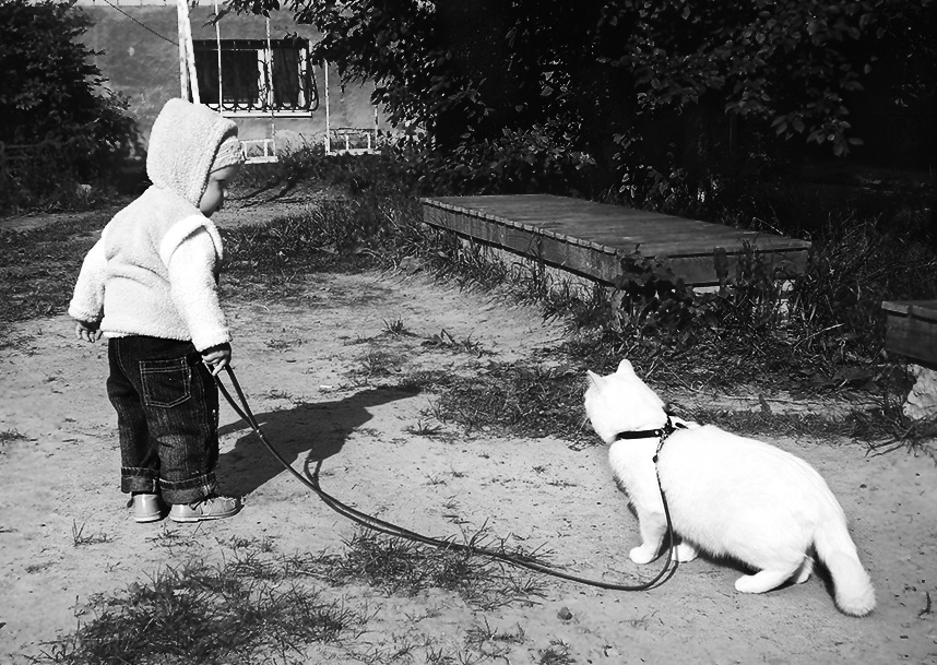 Wir sind befreundet mit ihm, wo er ging ich