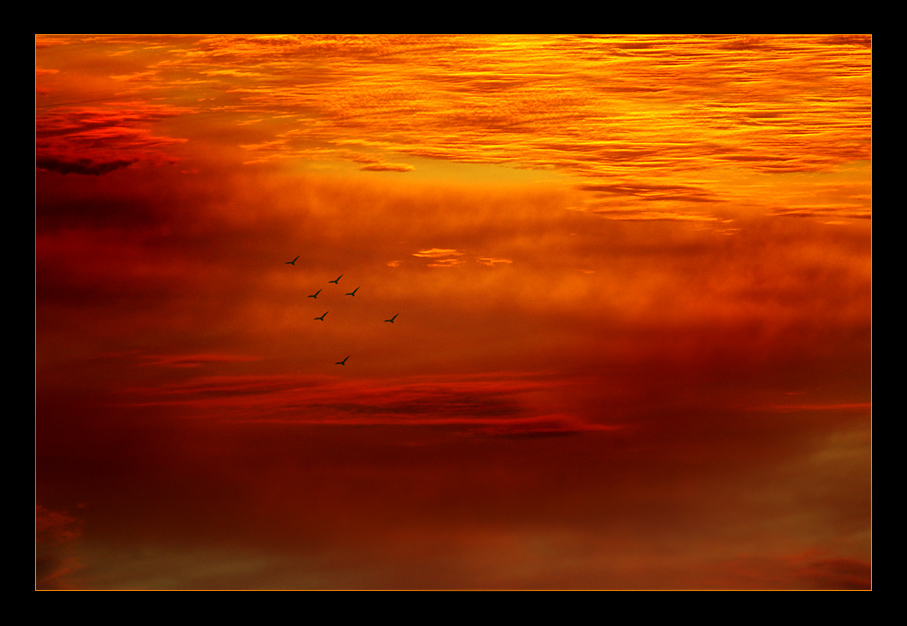 /////////////////////// 2 0 1 2 ///////////////////////