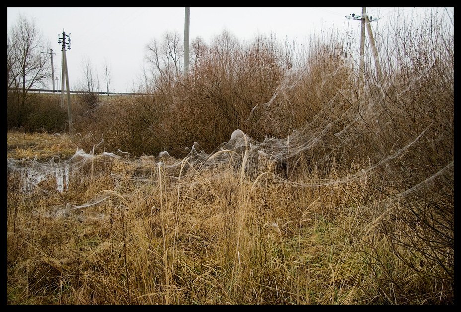 sie sind schon da ...