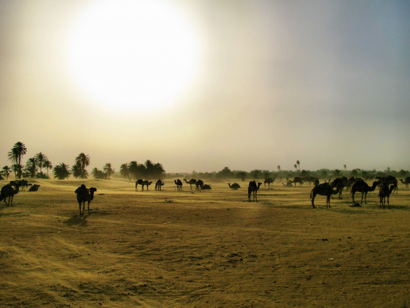 Wohnwagen Ruhestätte